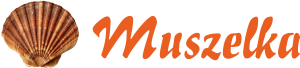 Muszelka